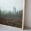 fine little day poster skog 70 x 100 cm