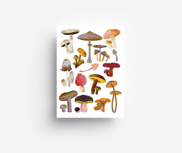 postcard ansichtkaart kaart card mushrooms jungwiealt tykky