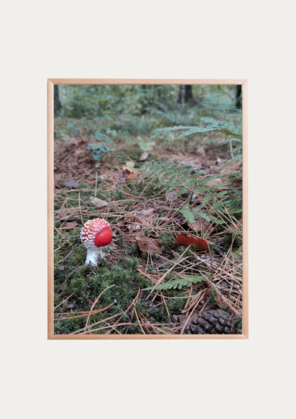 poster toadstool tykky 50 x 70 cm