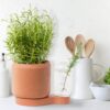 greenfinity plant pot plantenpot zelf kweken tykky cadeau idee