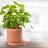 greenfinity plant pot plantenpot zelf kweken tykky cadeau idee